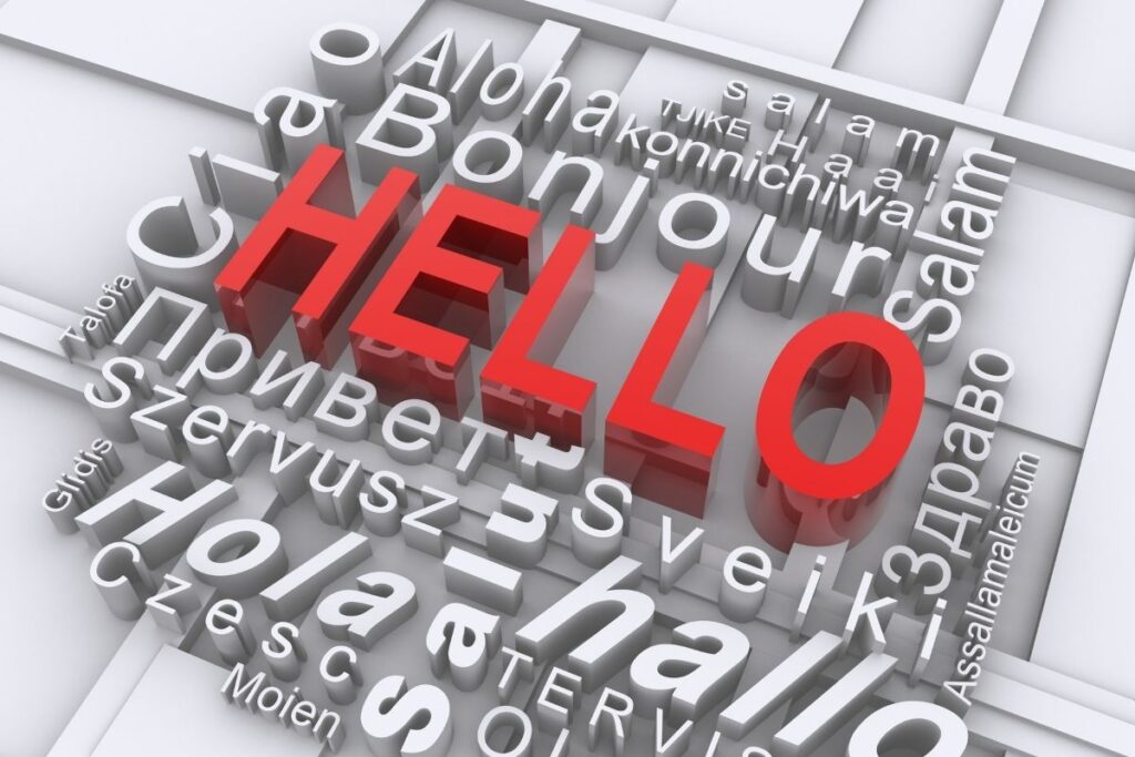 Will Translation Services